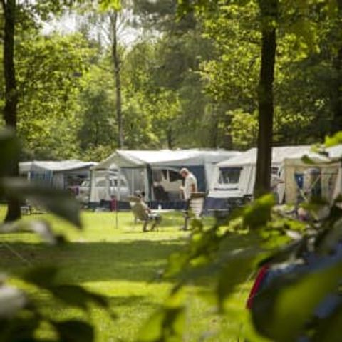 Emplacement - RCN de Flaasbloem - Camping