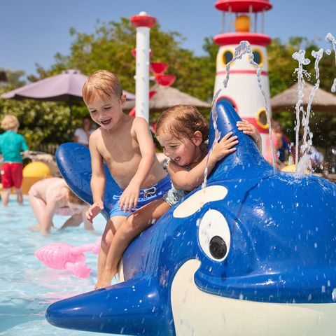 RCN Vakantiepark Toppershoedje - Goeree-Overflakkee - Image N°5