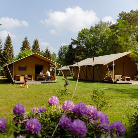 Tente en toile et en bois 6 personnes - le Wold Lodge