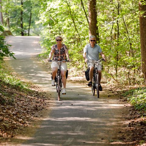 RCN Vakantiepark De Roggeberg - Ooststellingwerf - Image N°4