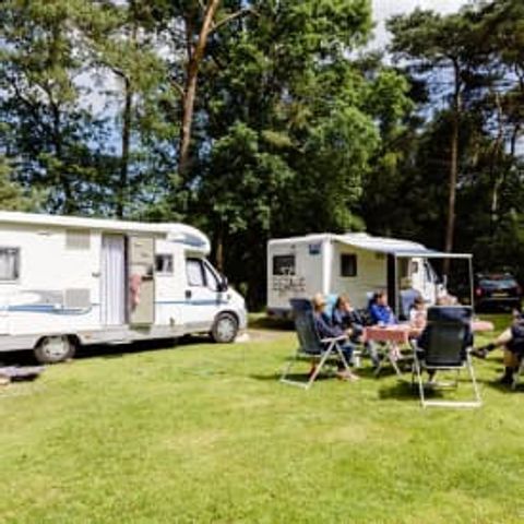 Emplacement - RCN Zeewolde - Camping-car