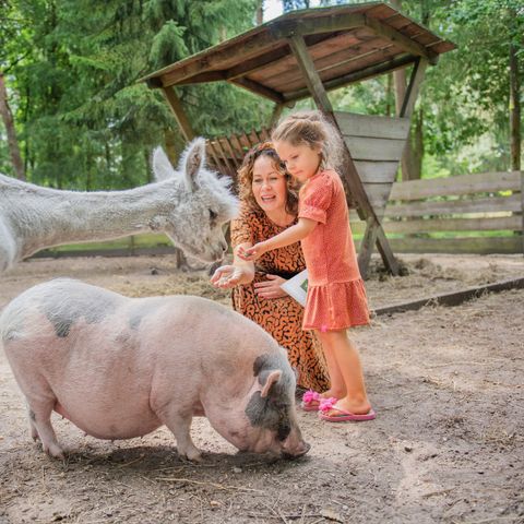 RCN Vakantiepark de Jagerstee - Epe - Image N°4