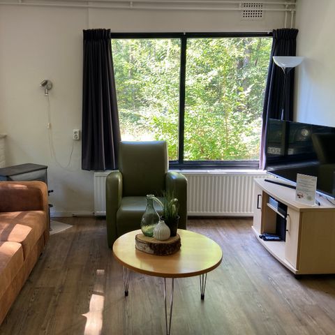 BUNGALOW 4 personnes - Pluton (animal de compagnie)