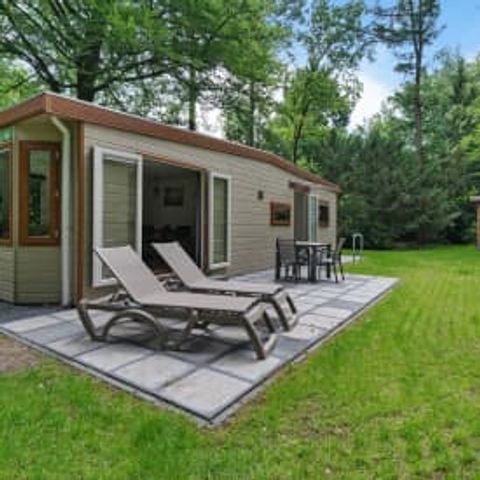 CHALET 3 personnes - Chalet Dartheide