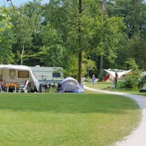 Emplacement - RCN het Grote Bos - Confort