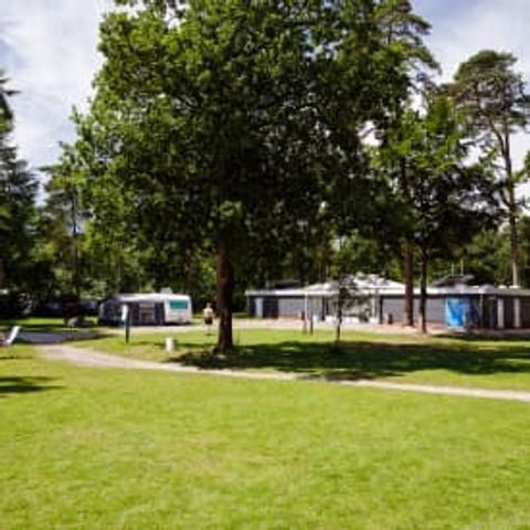Emplacement - RCN het Grote Bos - Camping-car
