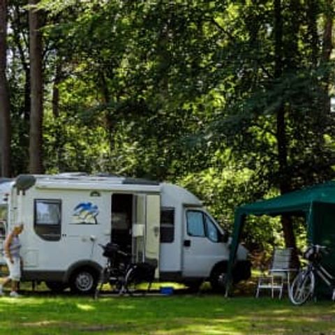 Emplacement - RCN het Grote Bos - Camping-car