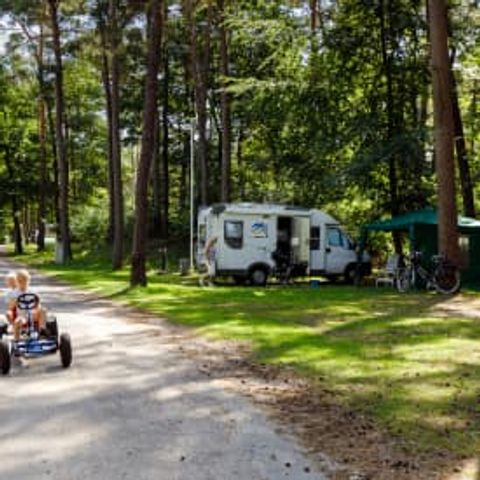 Emplacement - RCN het Grote Bos - Camping-car