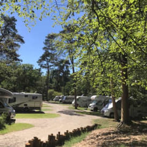 Emplacement - RCN het Grote Bos - Camping-car