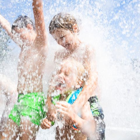 RCN Vakantiepark het Grote Bos - Utrechtse Heuvelrug - Image N°6