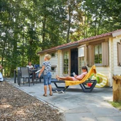 CHALET 4 personnes - Chalet de camping het Gangboord
