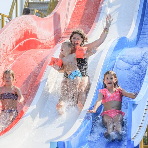 RCN Vakantiepark De Schotsman - Beveland-Nord - Image N°5