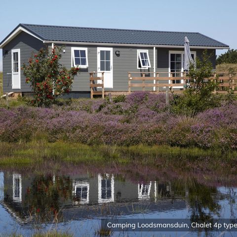 CHALET 4 personnes - Ravin