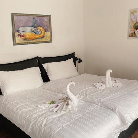 APPARTEMENT 4 personnes - Gosausee