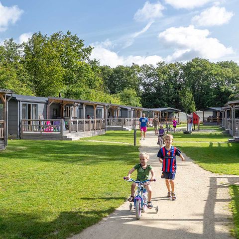 CHALET 6 personnes - Grive