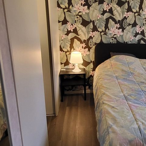 CHALET 3 personnes - Belgica