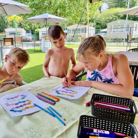 Verblijfpark Breebos - Anvers - Image N°3