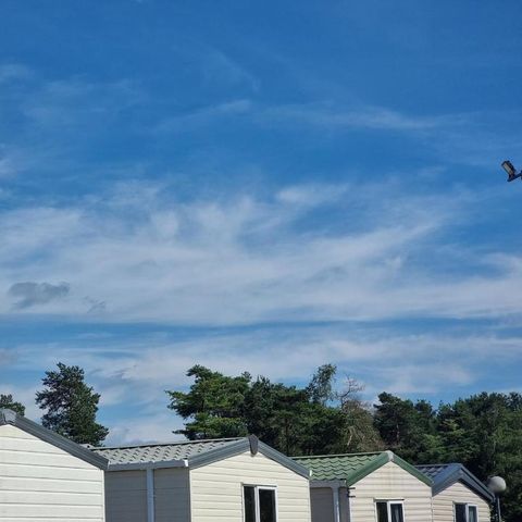 Verblijfpark Breebos - Anvers - Image N°2