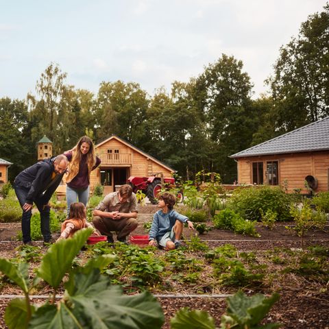Center Parcs Park Allgäu  - Bavière - Image N°4