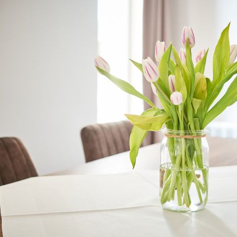 BUNGALOW 4 personnes - Maison de vacances « Comfort »