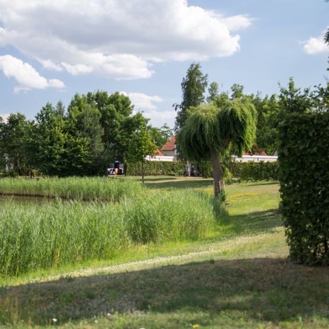 Resort Boschmolenplas - Maasgouw - Image N°3