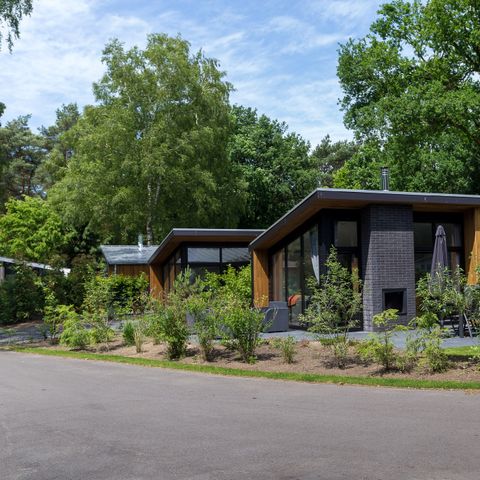 BUNGALOW 4 personnes - Forest Lodge 55 Eco avec bain à remous