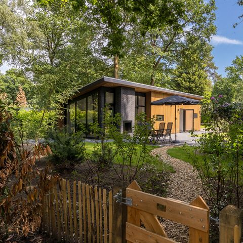 BUNGALOW 4 personnes - Forest Lodge 55 Eco avec sauna