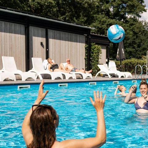 BUNGALOW 4 personnes - Birch Lodge Eco