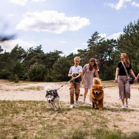 BUNGALOW 4 personnes - Heather Lodge Eco