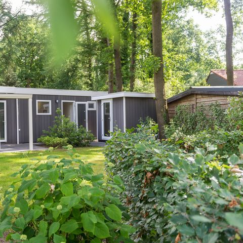 BUNGALOW 4 personnes - Park Lodge avec jacuzzi