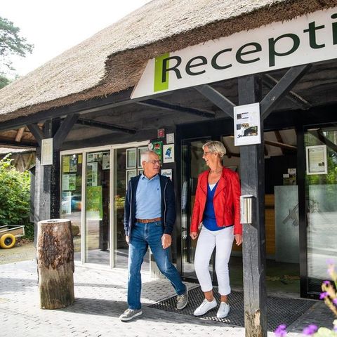 Vakantiepark De Norgerberg - Noordenveld - Image N°5