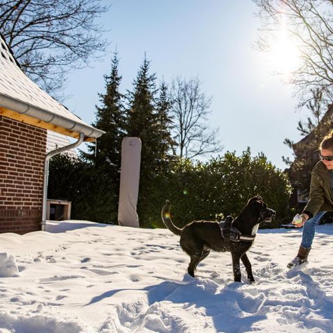 LODGE 2 personnes - Premium Lodge XL