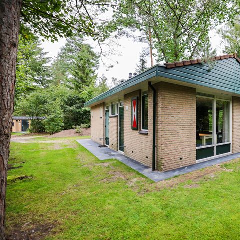 BUNGALOW 6 personnes - Calluna