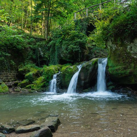 LODGE 4 personnes - Moselle