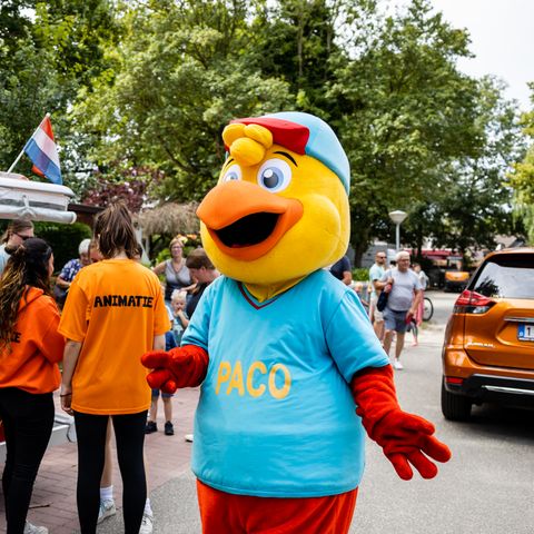 Recreatiecentrum de Vogel - Hulst - Image N°4