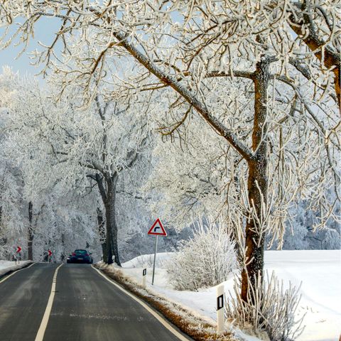 MAISON 4 personnes - 2+2 Kids DAN911