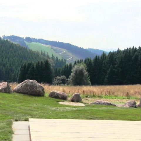 MOBILHOME 6 personnes - mobil home/chalet 4+2 Kids DAN928