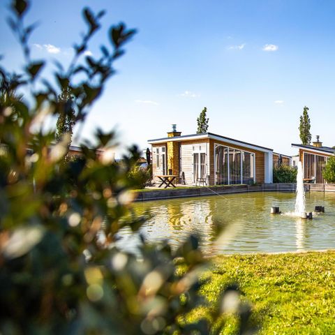MAISON 4 personnes - Biebosch - Douche solaire