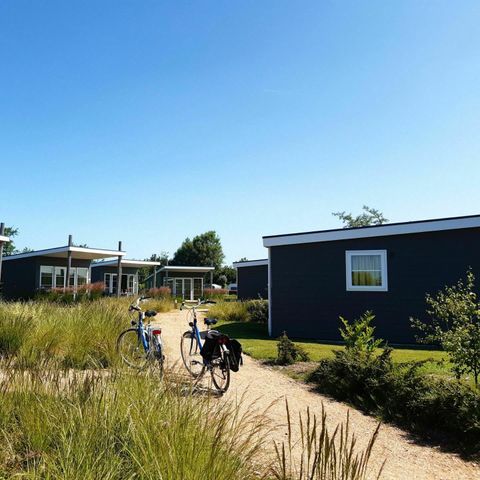 LODGE 6 personnes - Confort (50 m²)