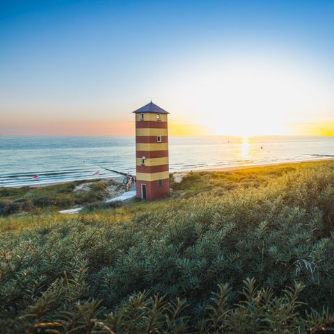 Landal Noordzee Résidence Dishoek - Veere - Image N°3