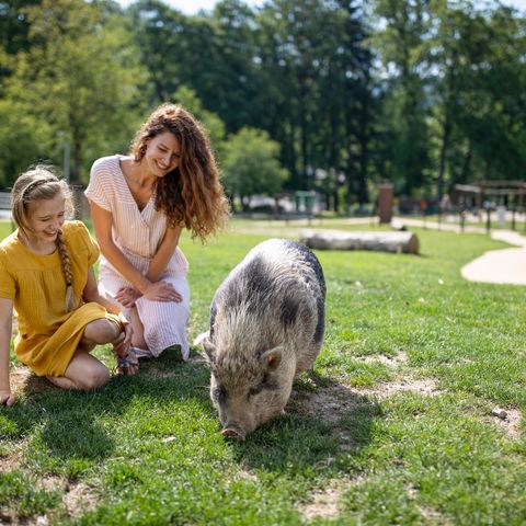 Center Parcs Les Ardennes - Luxembourg - Image N°5