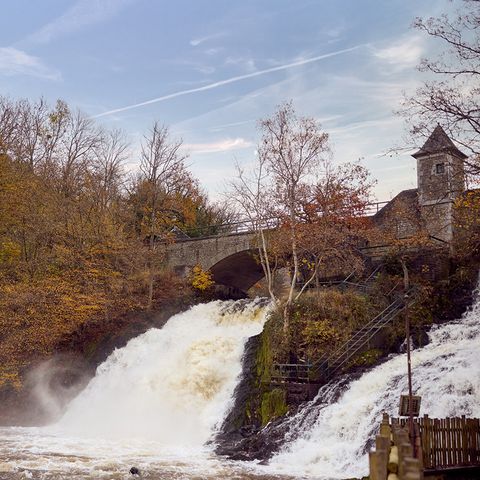 Center Parcs Les Ardennes - Luxembourg - Image N°4