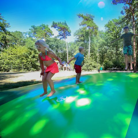 Vakantiepark Bonte Vlucht - Utrechtse Heuvelrug - Image N°2