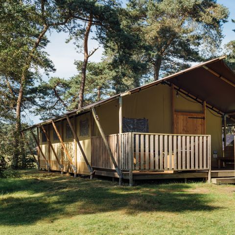 TENTE TOILE ET BOIS 6 personnes - Safaritent