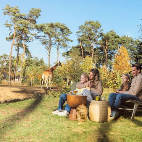 Safari Resort Beekse Bergen - Hilvarenbeek - Image N°4