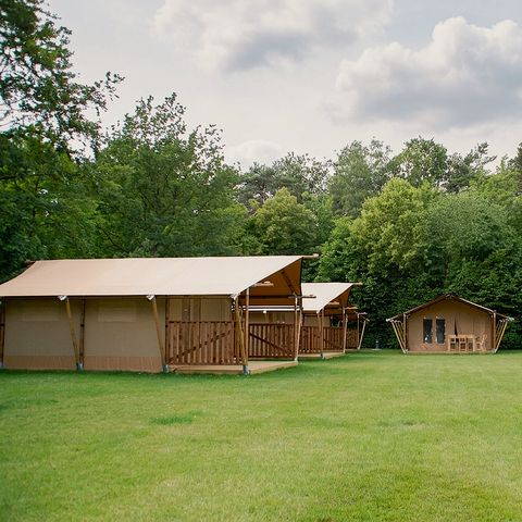 TENTE TOILE ET BOIS 5 personnes - Tente safari