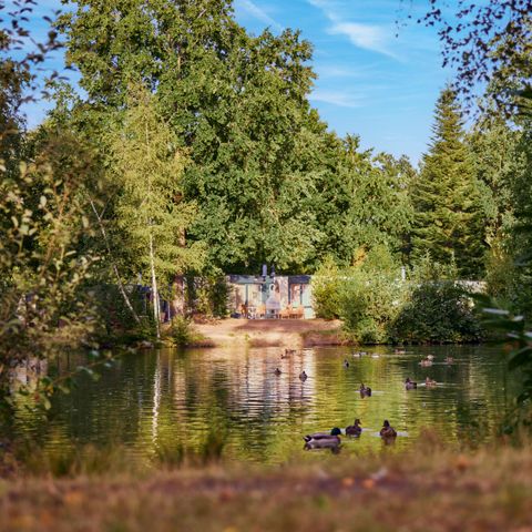 Center Parcs Park Nordseeküste - Camping Basse-saxe - Image N°4