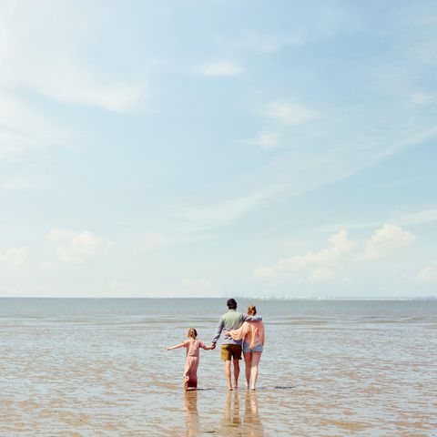 Center Parcs Park Nordseeküste - Basse-saxe - Image N°5