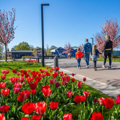 MAISON 6 personnes - Berkel