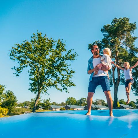 EuroParcs Zilverstrand - Anvers - Image N°3
